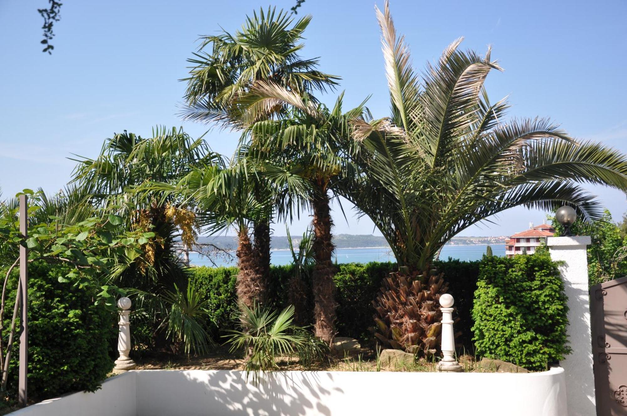 Apartments Ananina Portoroz Exterior photo