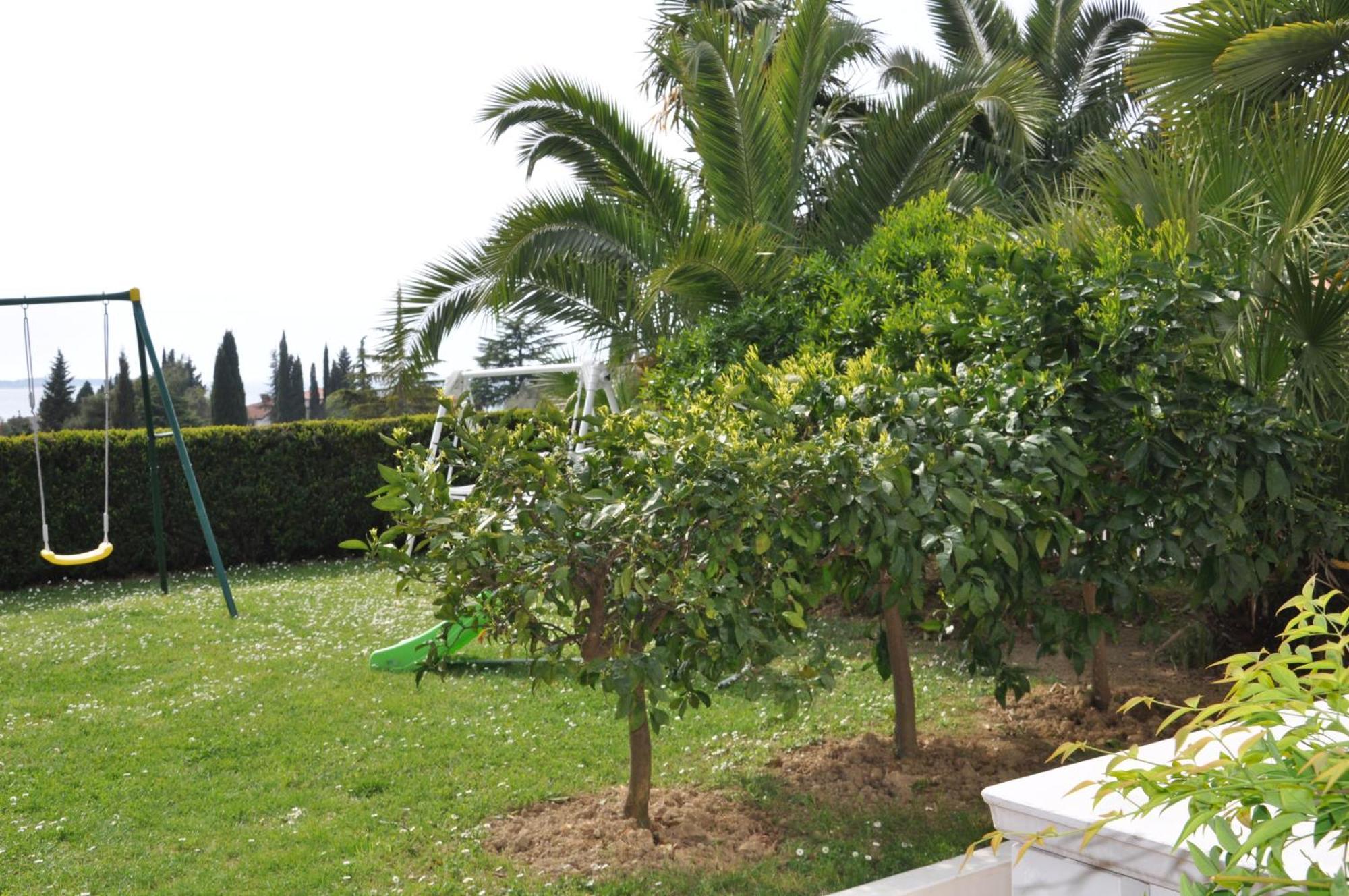 Apartments Ananina Portoroz Room photo